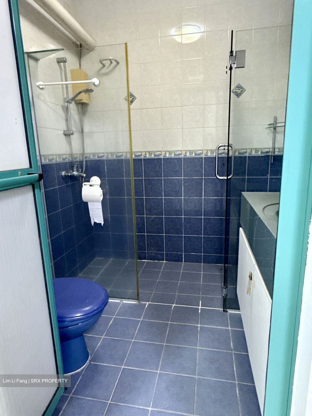 Blk 474 Segar Gardens (Bukit Panjang), HDB 4 Rooms #502757811